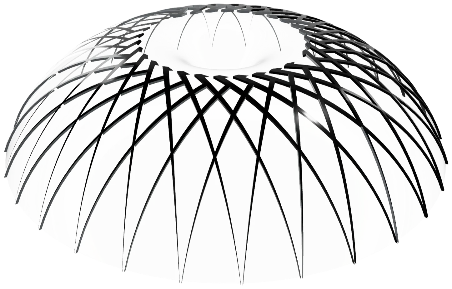 Render of a shallow dome roof: a lattice of crossing black ribs over clear glass, open at the crown.