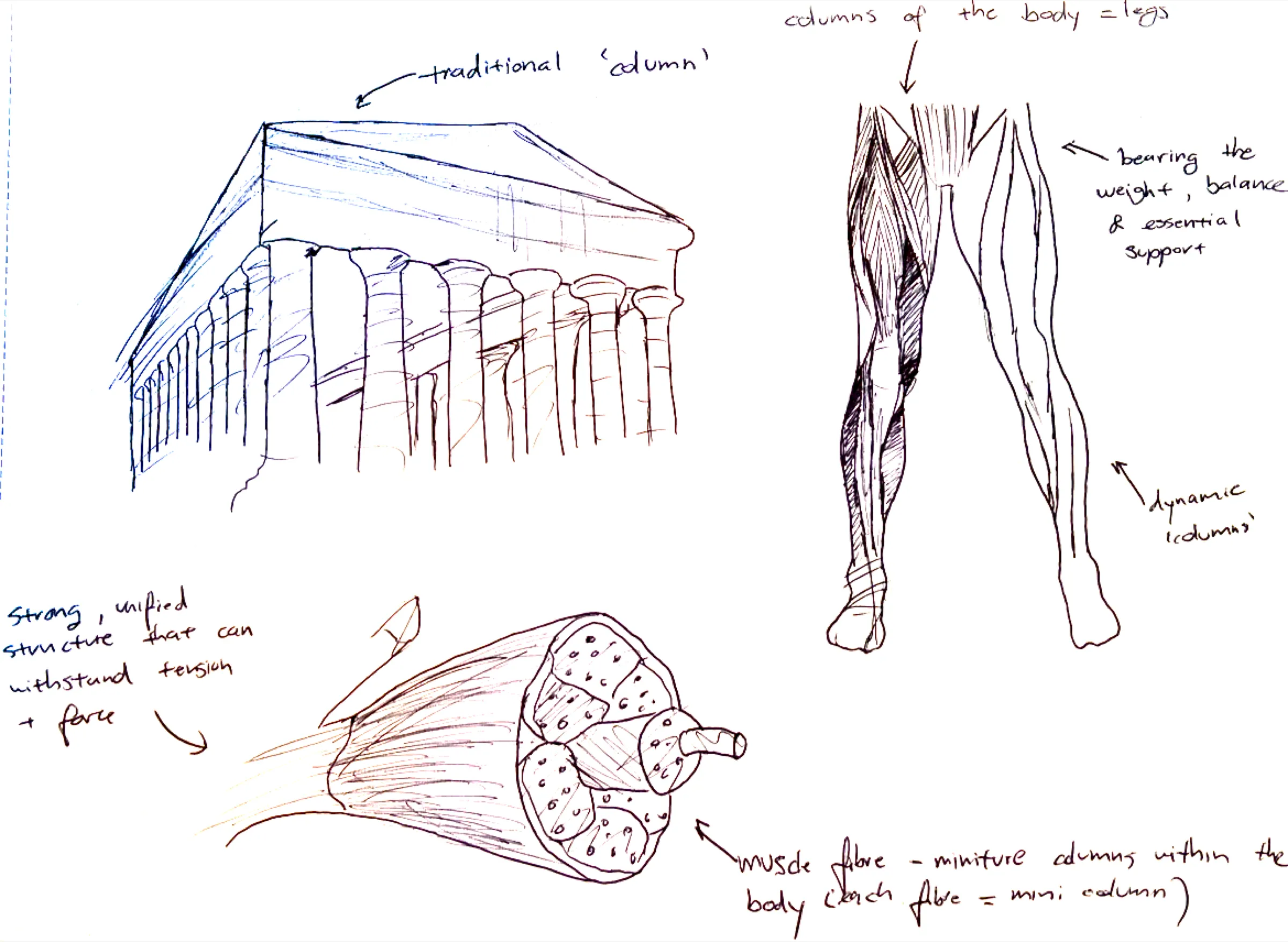 Pencil sketch of a classical temple: a row of fluted columns under a pediment, labelled “traditional ‘column’”.