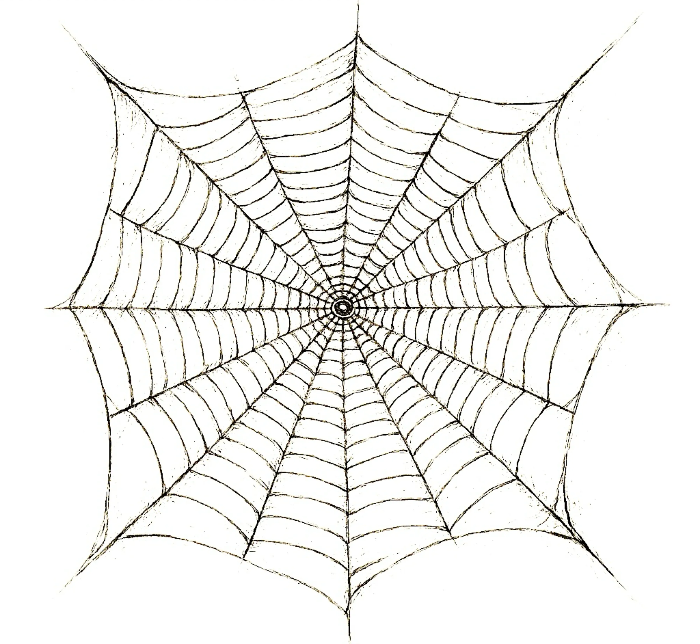 Pen drawing of a spider’s web.
